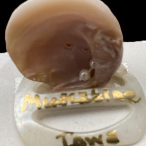 ORNAMENT SHELL WITH PEARL AO