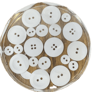 Colorful parrot perched on wooden branch outdoors