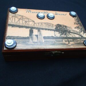 Golden retriever dog lying on wooden floor indoors