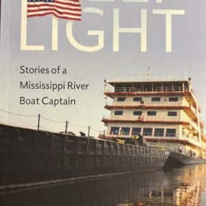 Golden retriever dog sitting on green grass outdoors